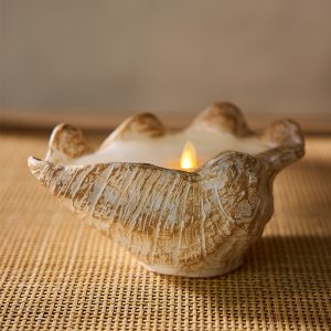 LUM-贝壳造型蜡